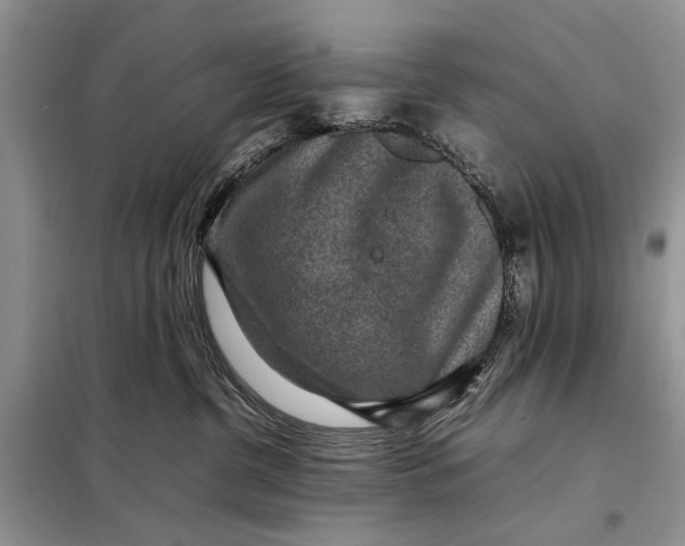 X0000098020380200804181209