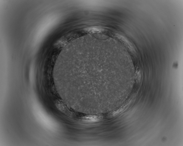 X0000098020381200804181209