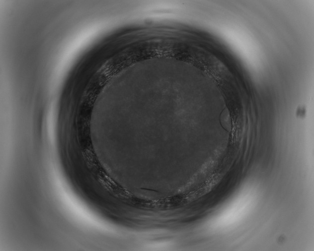 X0000098020383200804181209