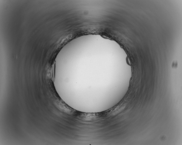 X0000098020384200804181209