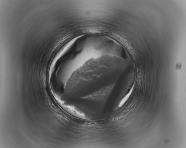 X0000098020386200804181208