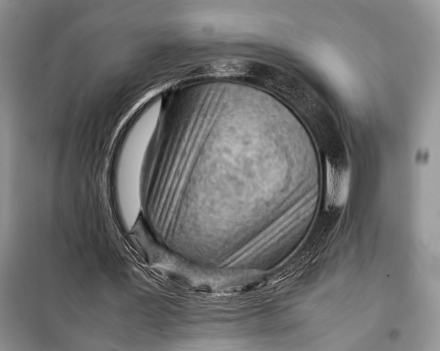 X0000098020387200804181208