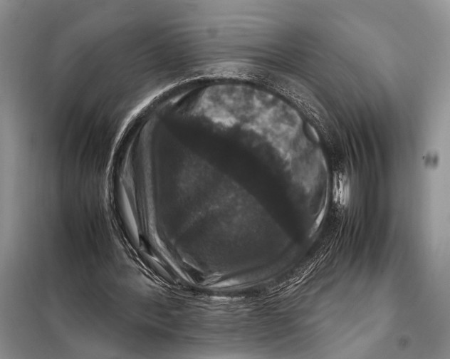 X0000098020388200804181208