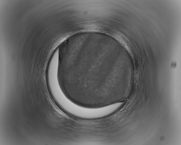 X0000098020389200804181208