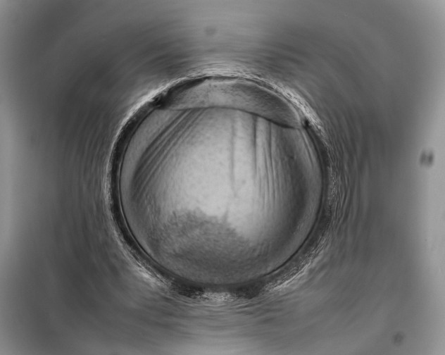 X0000098020391200804181208