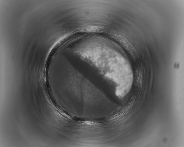 X0000098020392200804181208