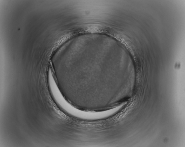 X0000098020393200804181208
