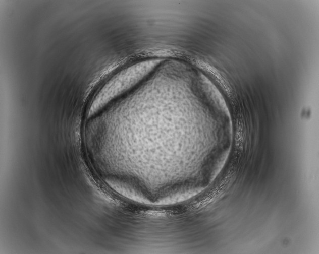 X0000098020394200804181208