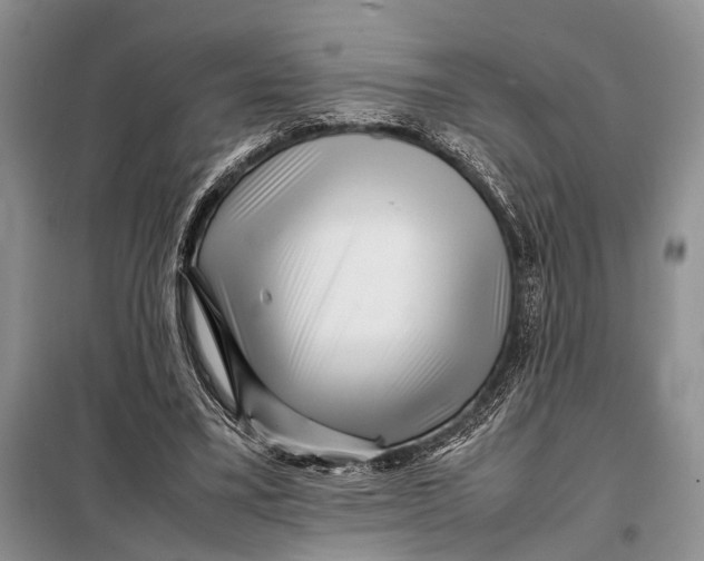X0000098020395200804181208