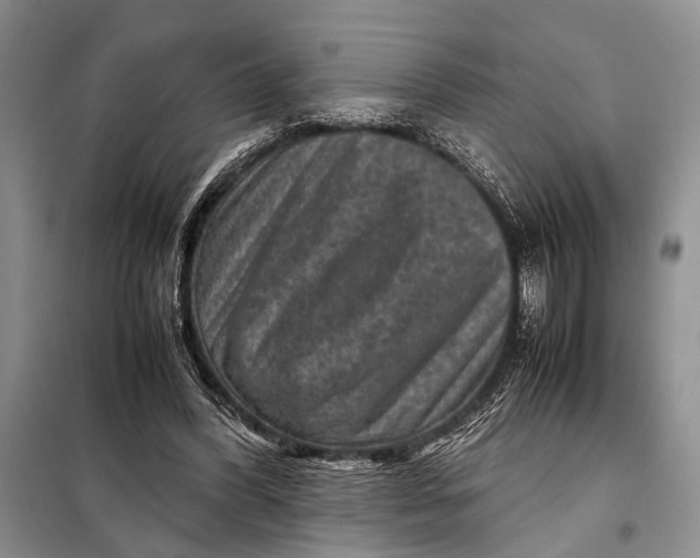 X0000098020396200804181208
