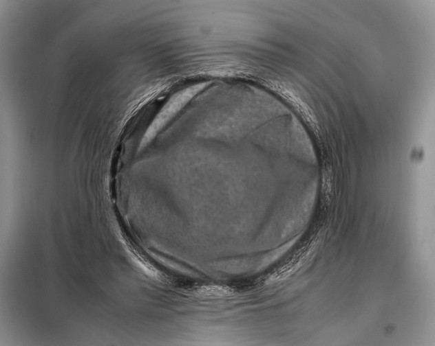 X0000098020397200804181208