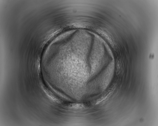X0000098020398200804181208