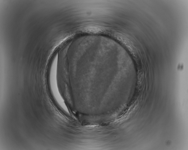 X0000098020399200804181208