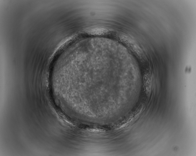 X0000098020400200804181208