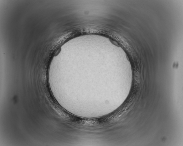 X0000098020401200804181208