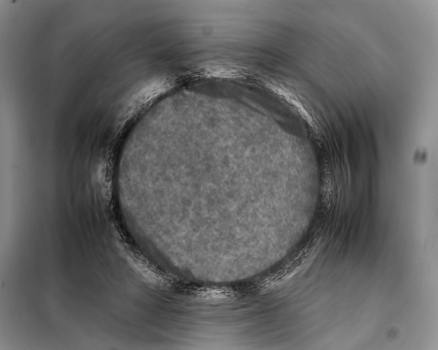 X0000098020402200804181208