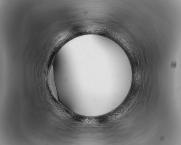 X0000098020403200804181208