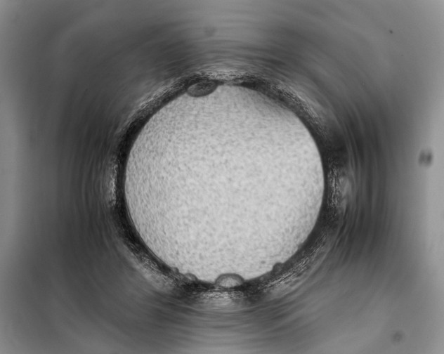 X0000098020404200804181208