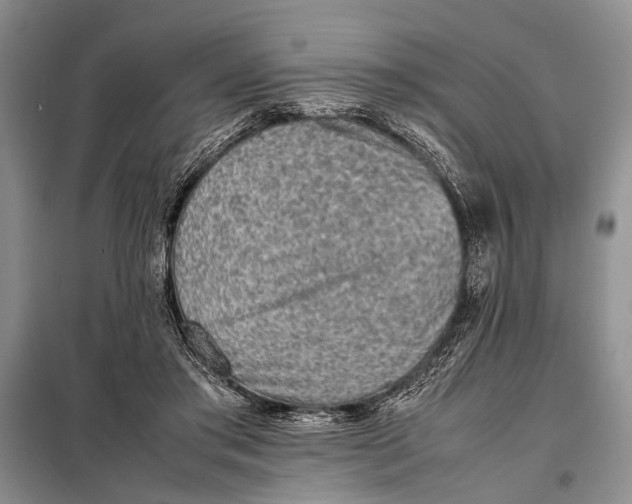 X0000098020405200804181208