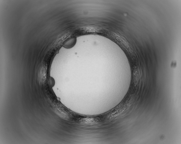 X0000098020406200804181208