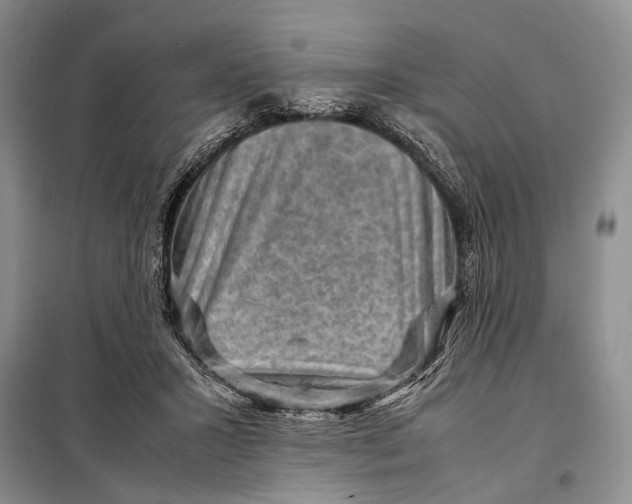 X0000098020407200804181208