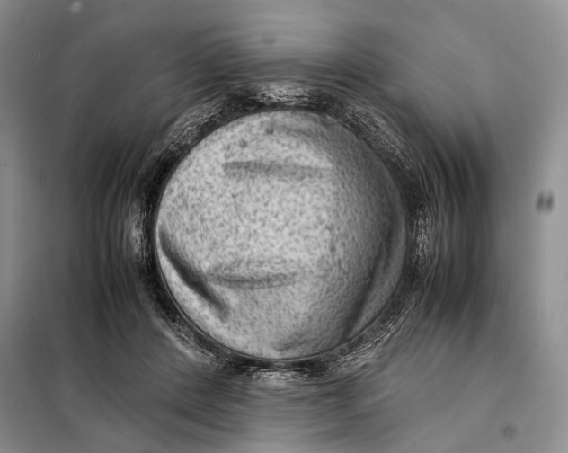 X0000098020408200804181208
