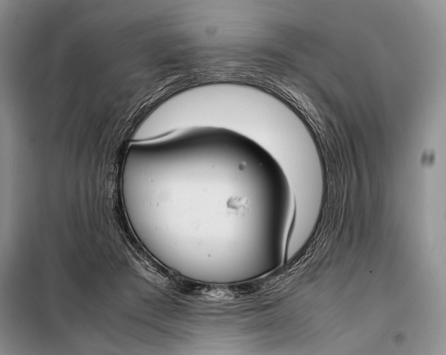 X0000098020409200804181208