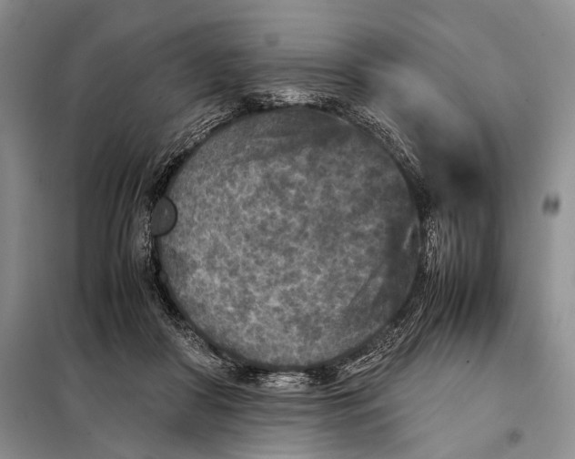 X0000098020410200804181208
