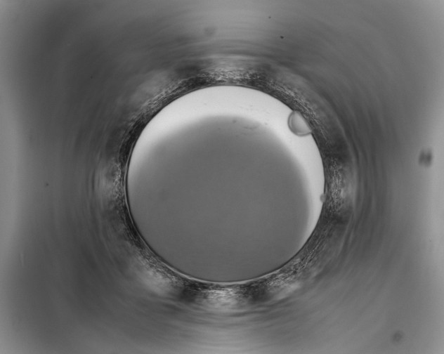 X0000098020411200804181208