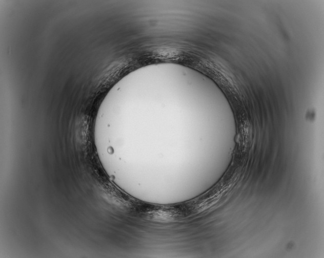 X0000098020412200804181208