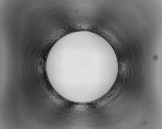 X0000098020414200804181208