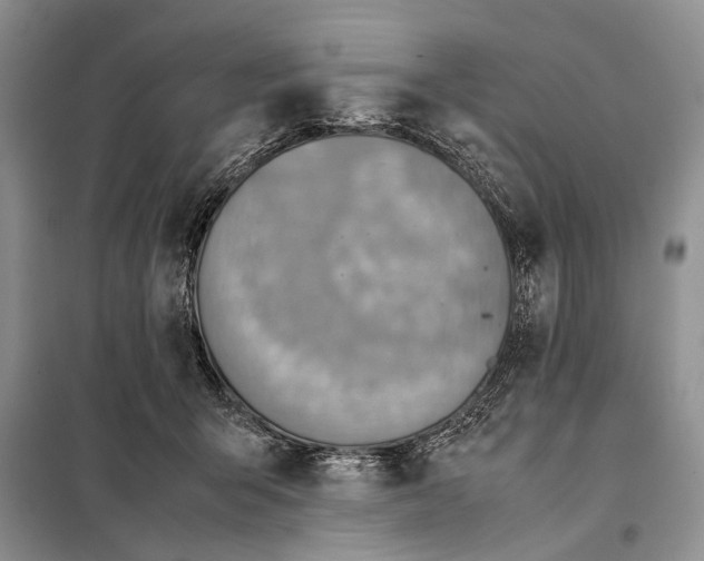 X0000098020415200804181208