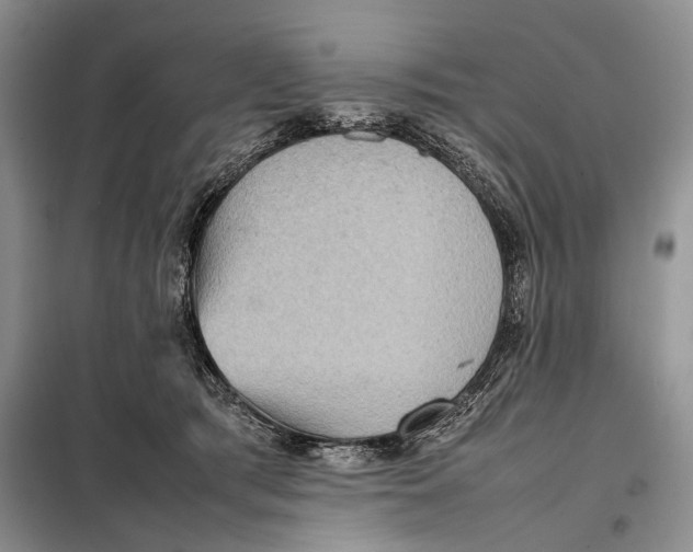 X0000098020417200804181207