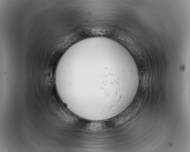 X0000098020418200804181207