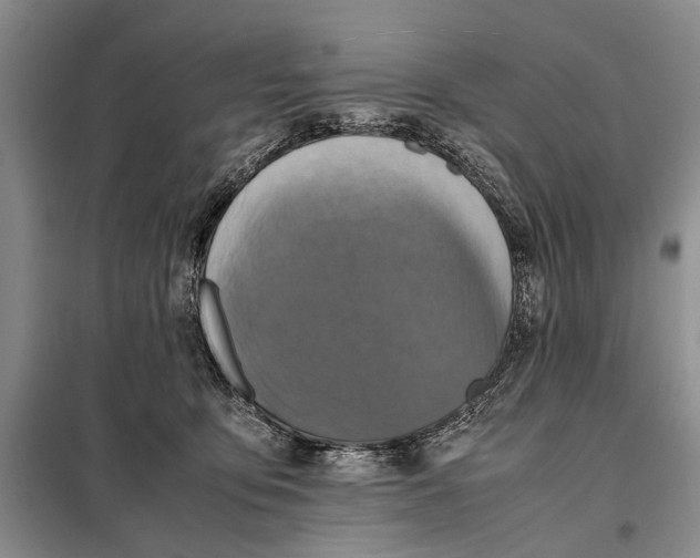 X0000098020419200804181207