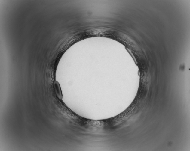 X0000098020421200804181207