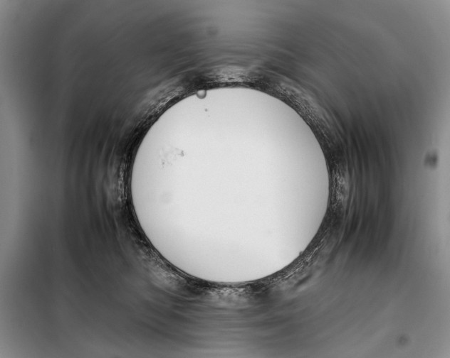 X0000098020422200804181207