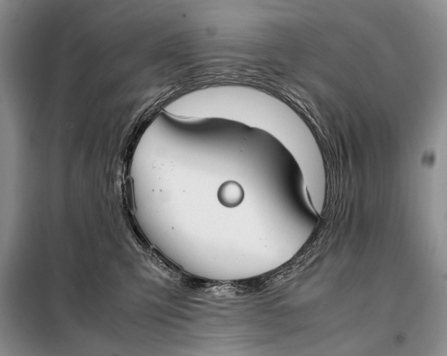 X0000098020423200804181207