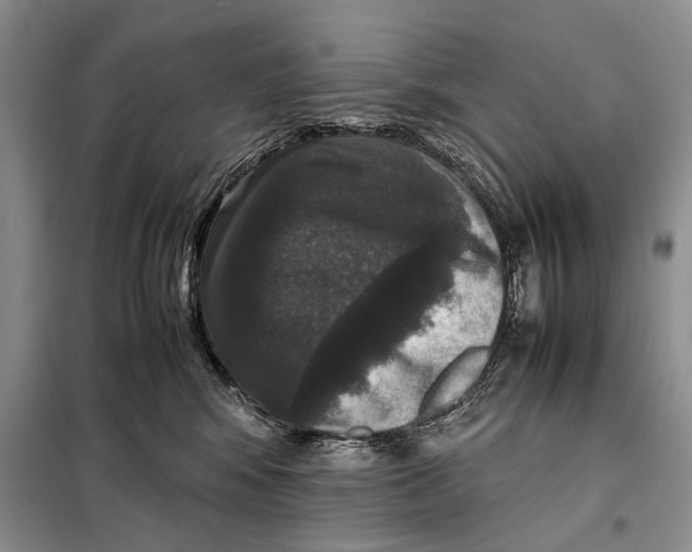 X0000098020424200804181207