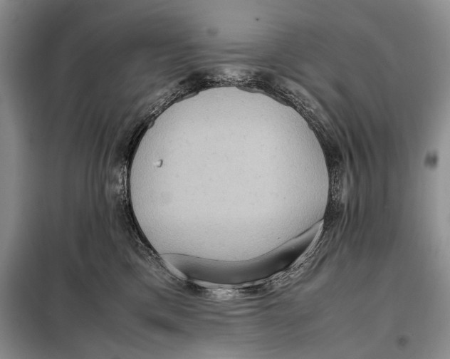 X0000098020425200804181207