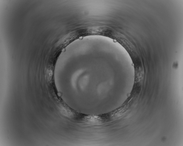 X0000098020427200804181207