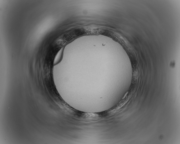 X0000098020429200804181207