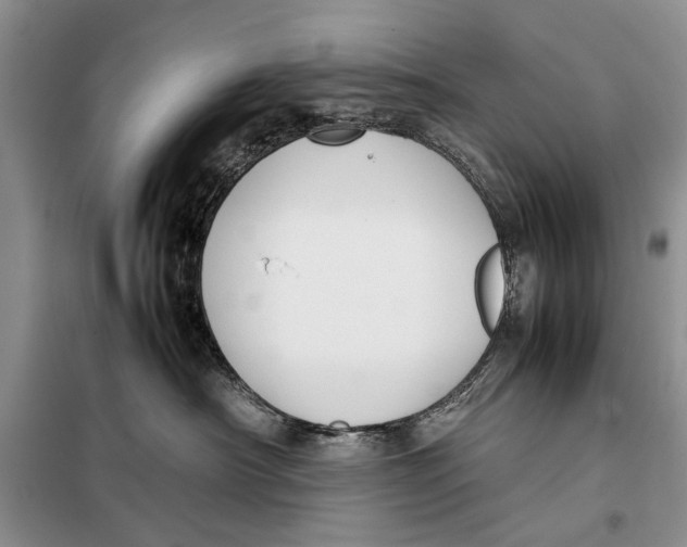 X0000098020430200804181207