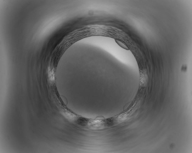 X0000098020431200804181207