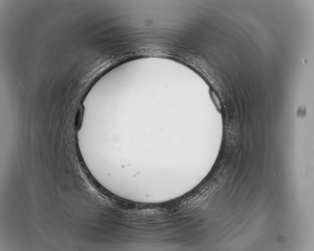X0000098020433200804181206