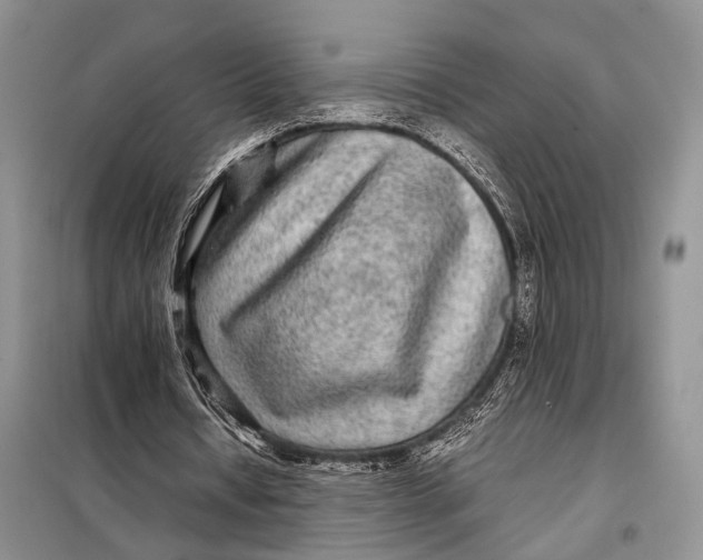 X0000098020434200804181206