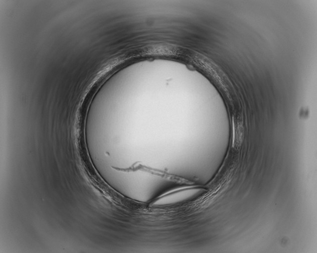 X0000098020435200804181206