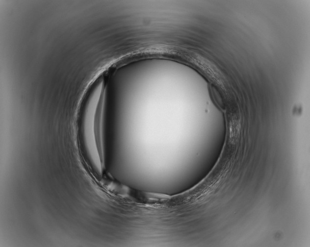X0000098020436200804181206