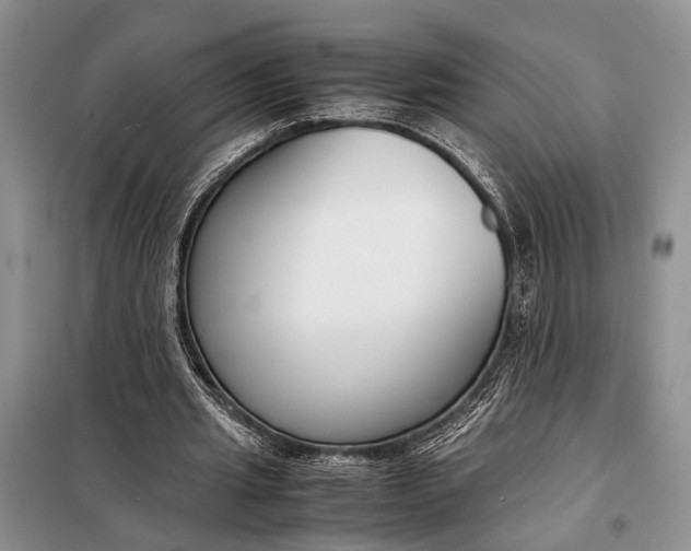 X0000098020437200804181207