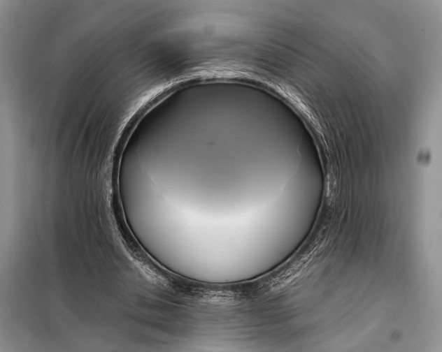 X0000098020438200804181207
